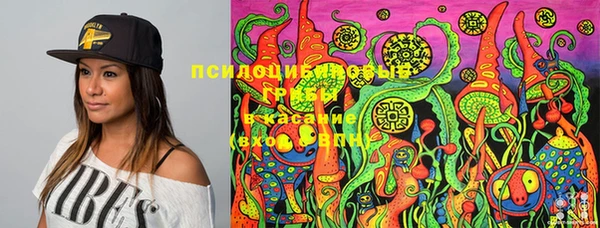 гидропоника Лабытнанги