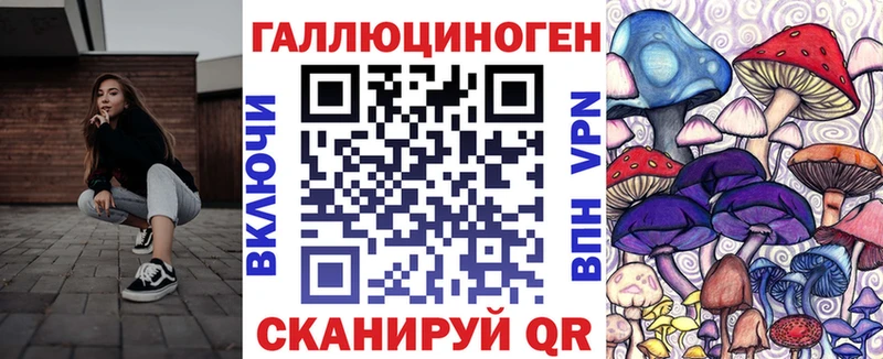 Псилоцибиновые грибы GOLDEN TEACHER  Купить где  Волгоград 